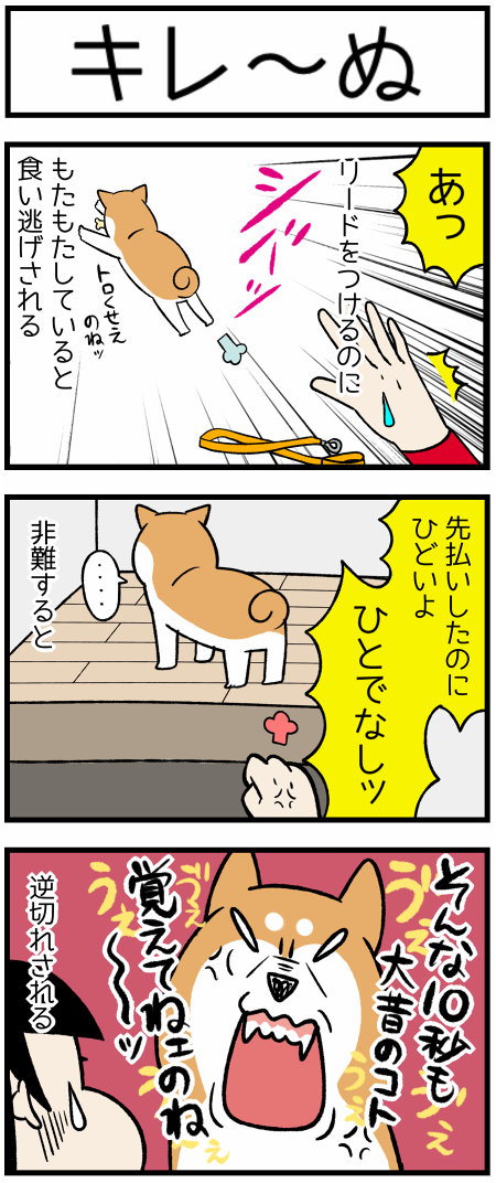 20200807逆切れ1