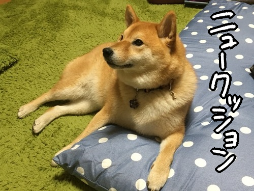 61s3d0u6