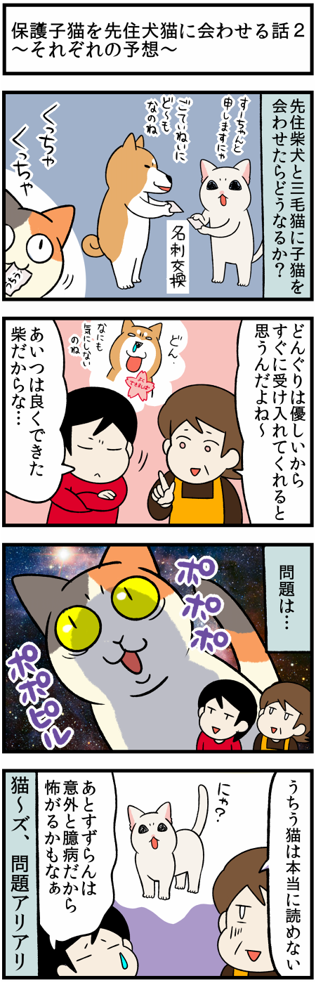 20210916対面予想1