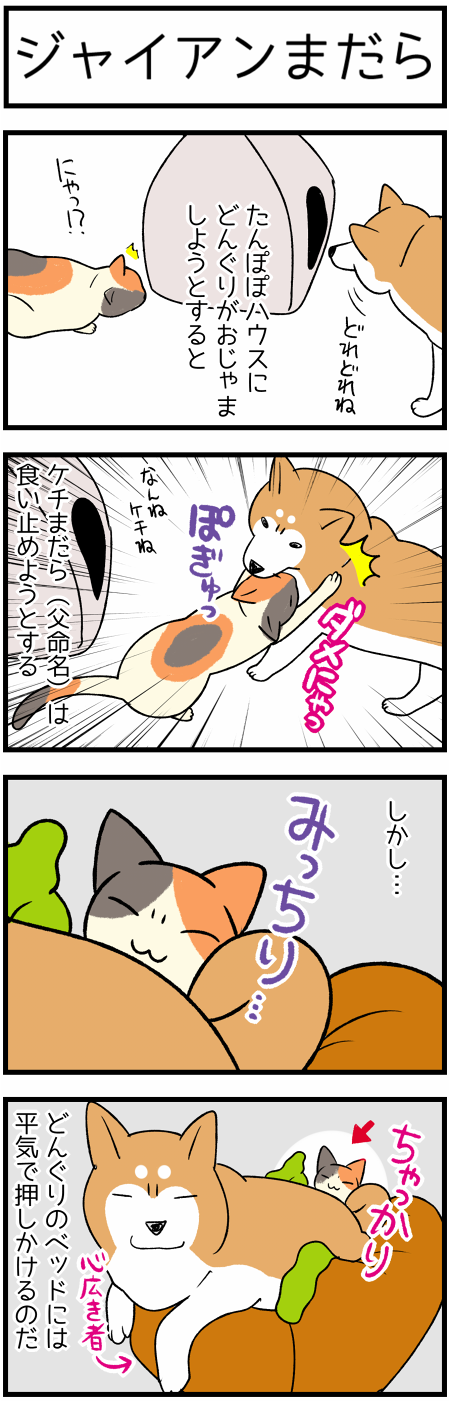 相手はダメだけど自分はok ジャイアンのような三毛猫 柴犬どんぐり三毛猫たんぽぽ Powered By ライブドアブログ