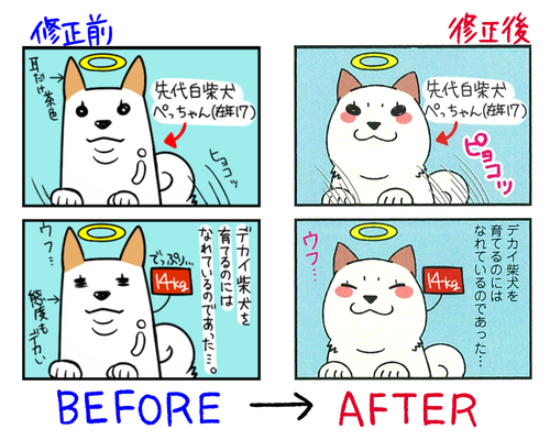 syuusei
