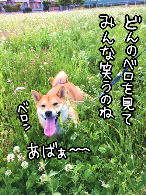 qra85y1z