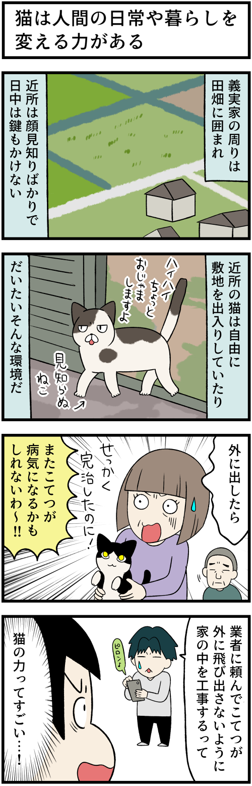 20220330リフォームさせる猫1