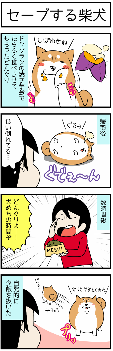 20180127セーブする柴犬1