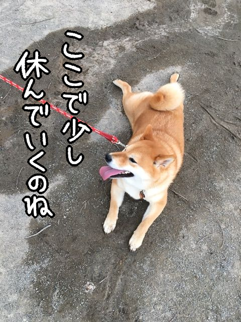 3xd0vqv7