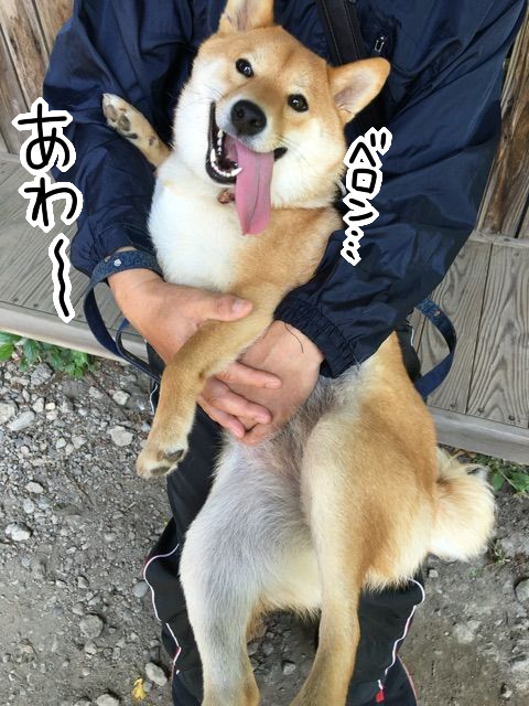 l3a7uf0s