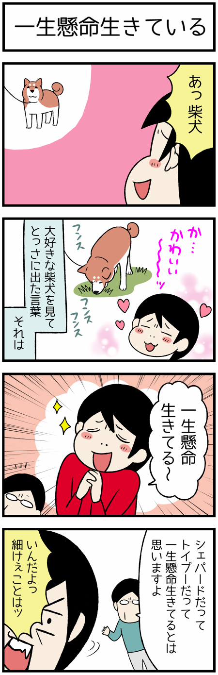 20201112一生懸命1