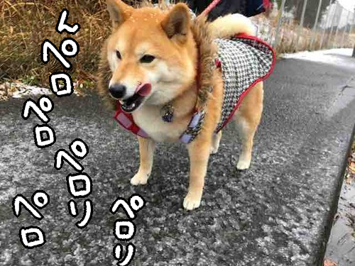 1v9fvfnj