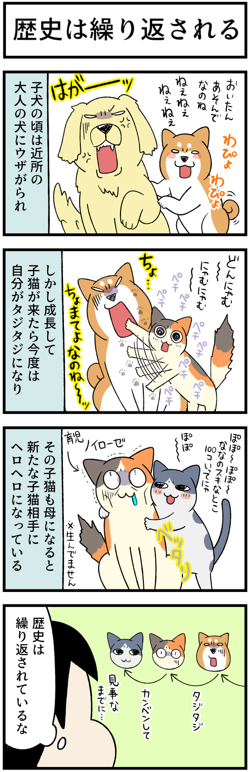 20220913歴史、自分より大はしゃぎ1