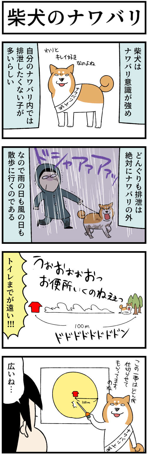 20230710ナワバリとペットシーツ1
