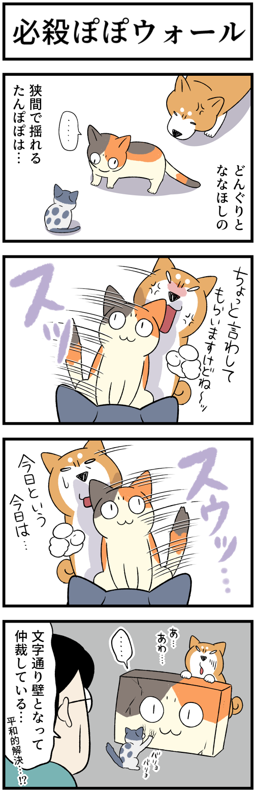 20220517どんと子猫とぽぽ2