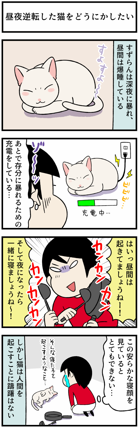 202110271猫の眠り1