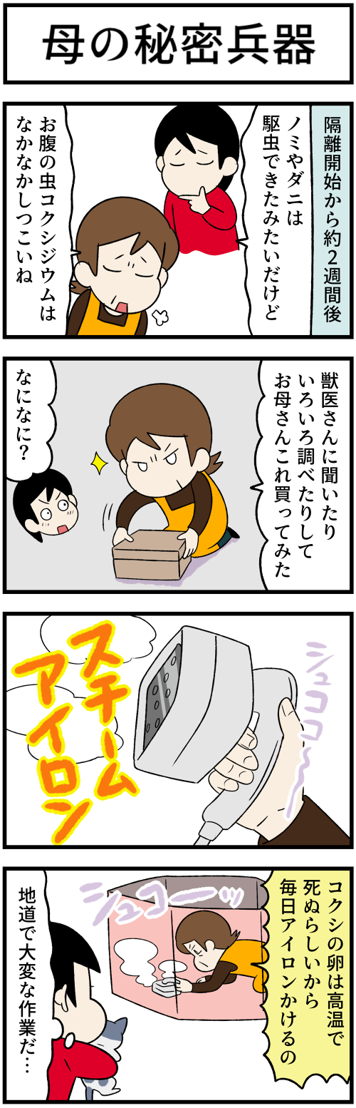 20220217秘密兵器1