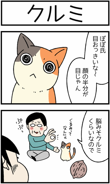 20200214クルミ1