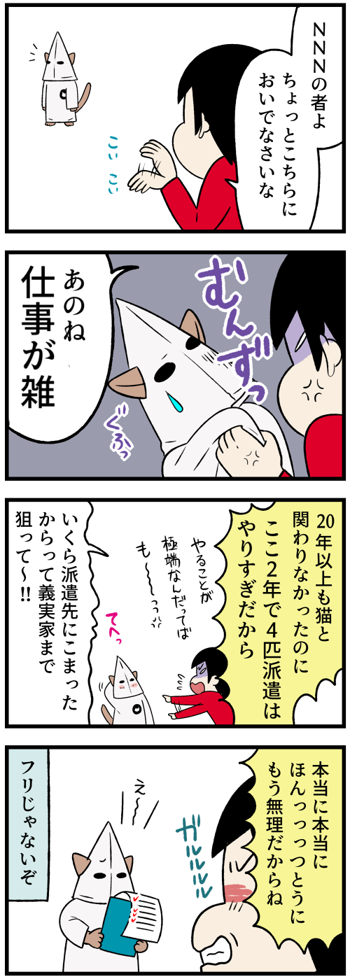 20220103子猫６2