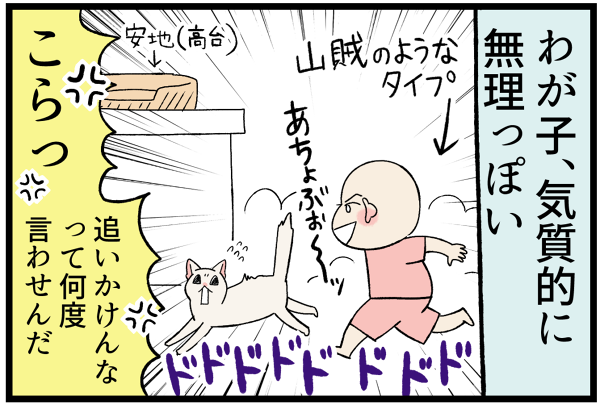 20260616憧れと現実3