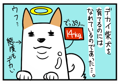 4.png