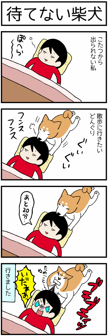 20200330待てない柴犬1