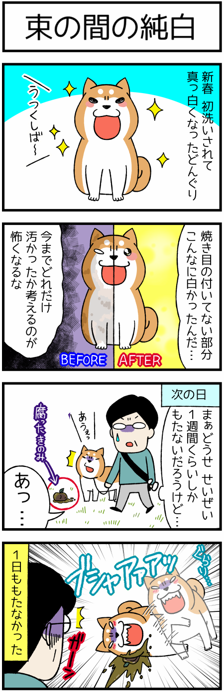 20170104束の間の純白1