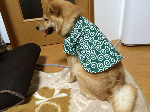 9f30cdba.jpg