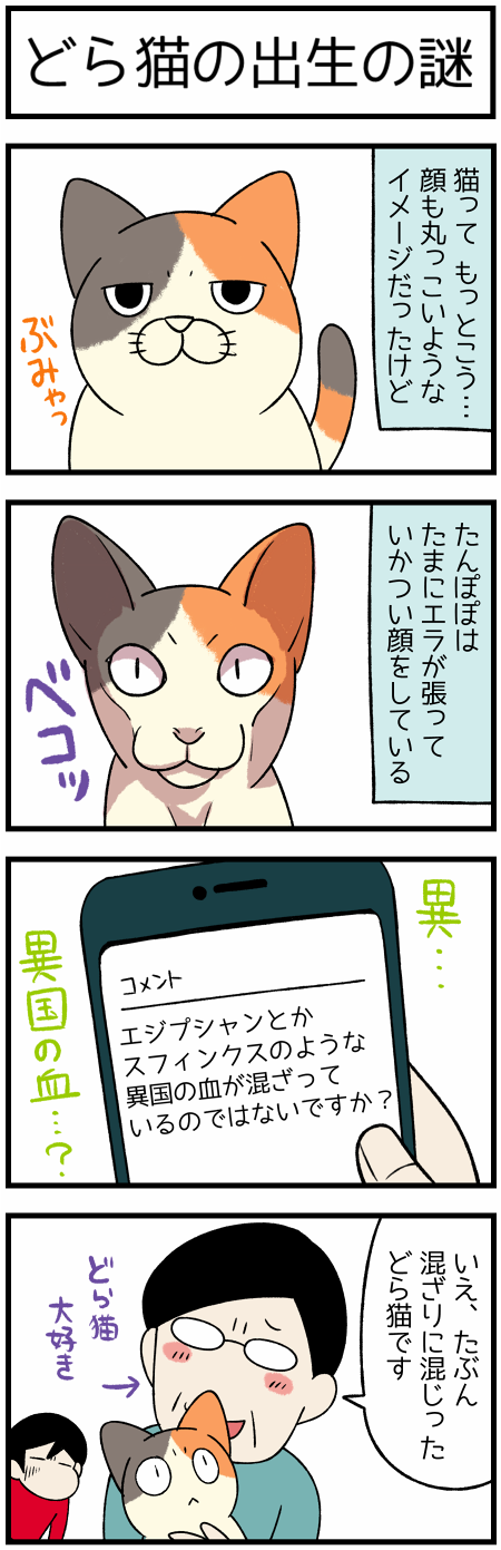 20201220エジプシャン2