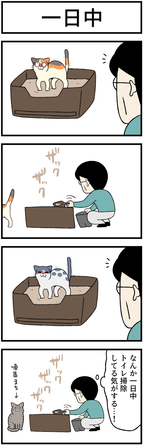20230718多頭飼い1