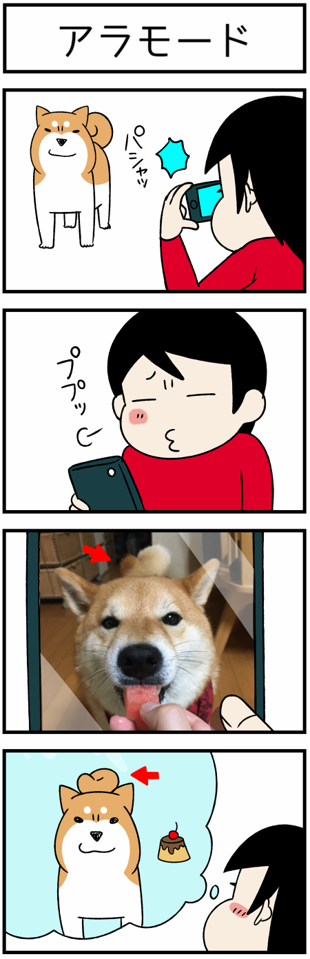20180701アラモード1