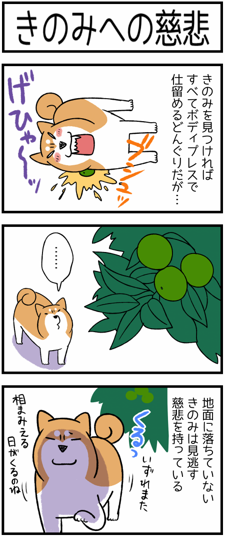 20200926みかん1