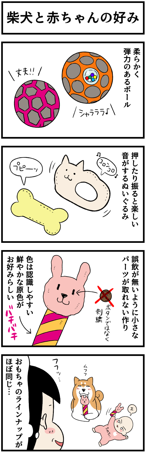 20230224柴犬と赤ちゃんの子のみ1