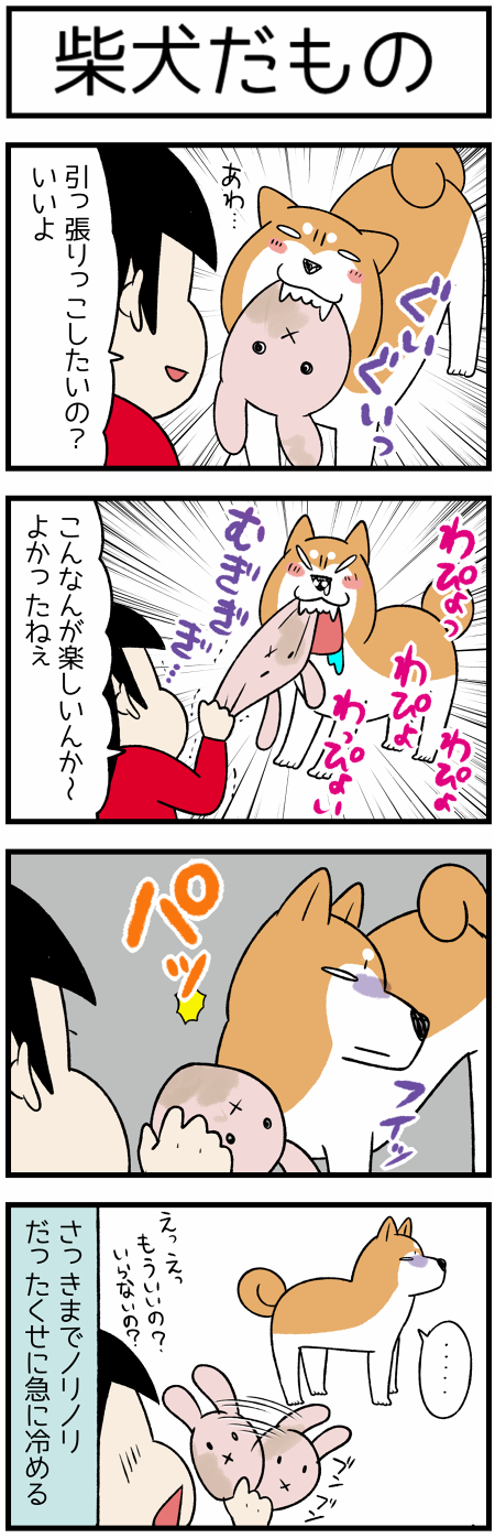 20201022柴犬だもの1