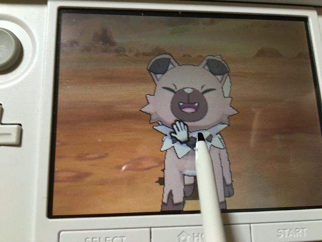 ポケモン新作の犬ポケモンがとても可愛い 親しみの湧く共通点 柴犬どんぐり三毛猫たんぽぽ Powered By ライブドアブログ ポケモン新作の犬ポケモンがとても可愛い 親しみの湧く共通点 柴犬どんぐり三毛猫たんぽぽ Powered By ライブドアブログ