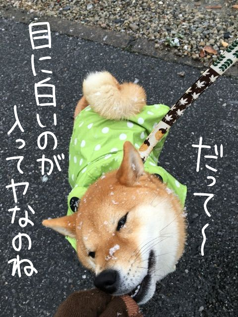 f4eoxdl5