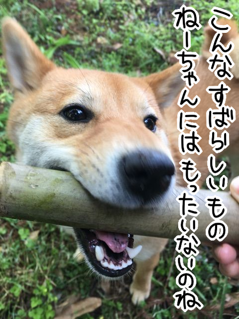 h1nxydq3