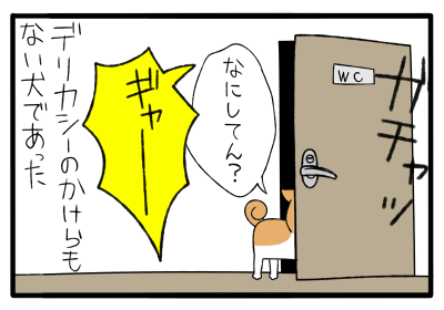 5.png
