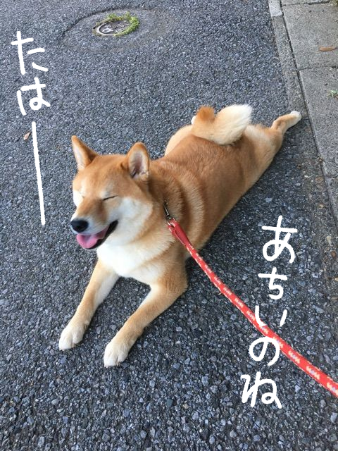 oxii7r4f