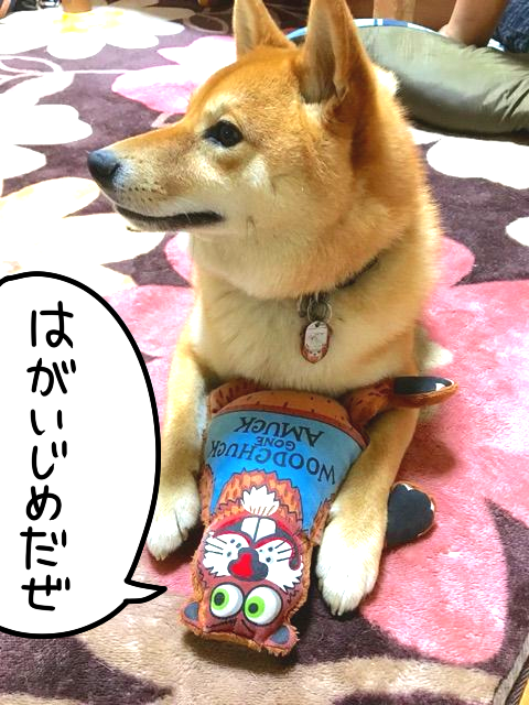 新規キャンバス
