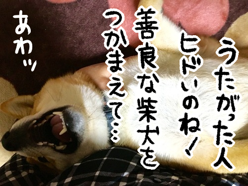 kttrghsb