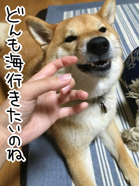 0ekwlqhn