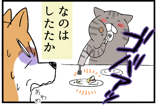 20260529おだやかコンビの秘密4