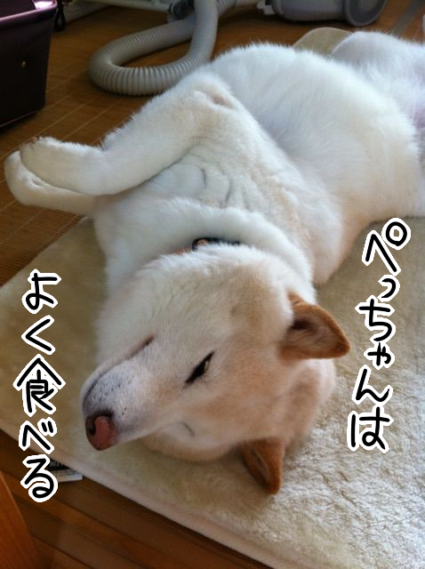 qjmynxt5