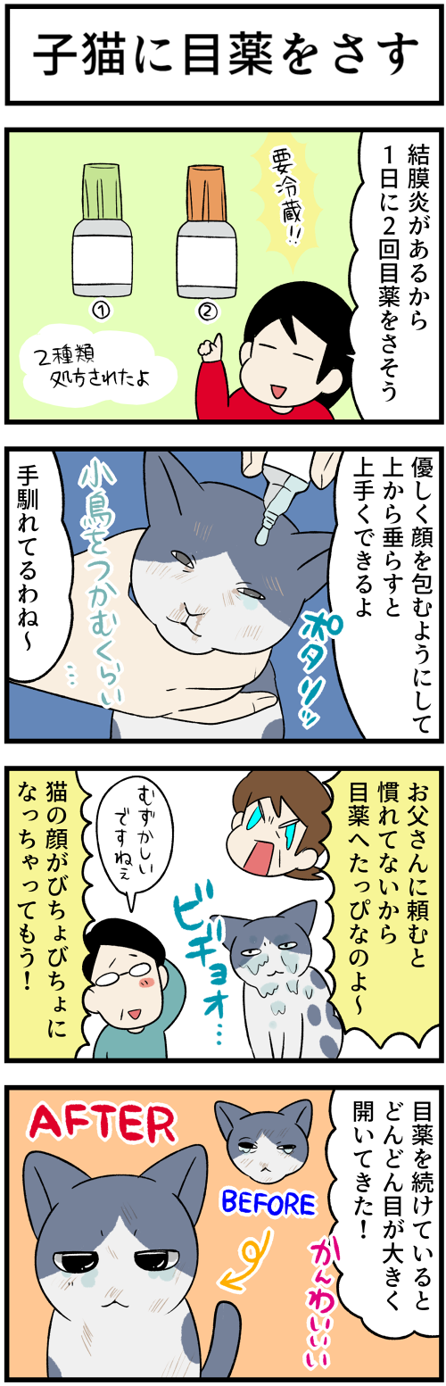 20220126子猫の変化1