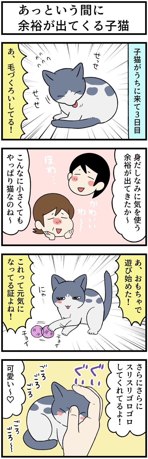 20220126子猫の変化2