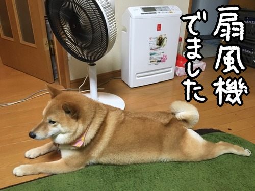 56d9dts0
