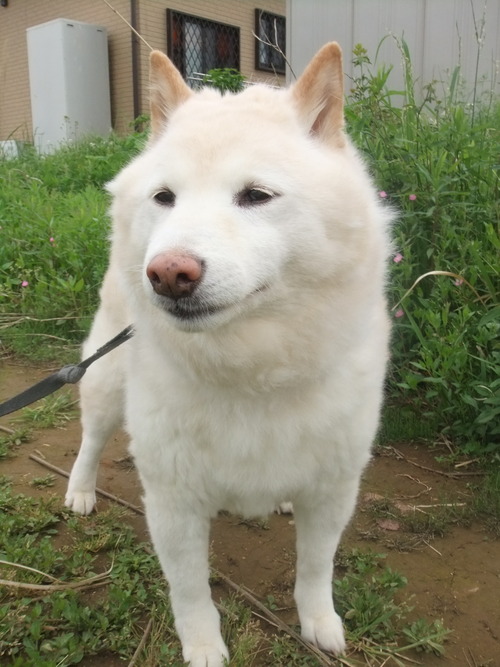 DSCF7469