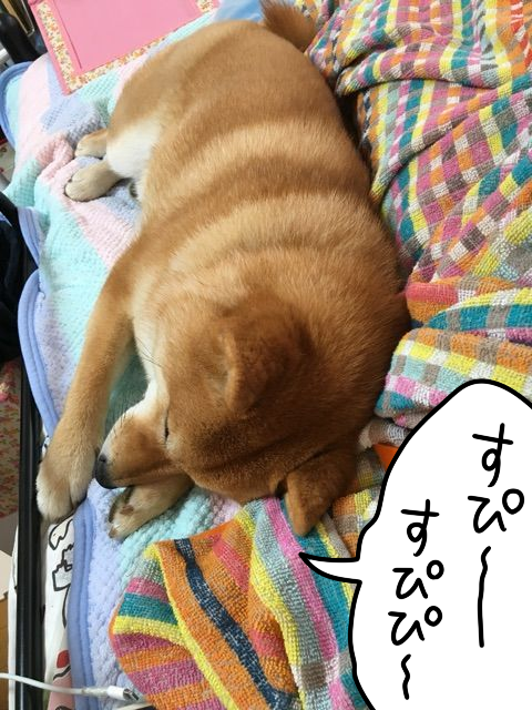 g3kkna42