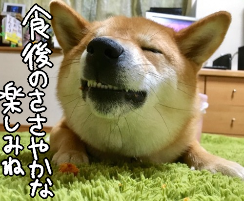 5sn4cvlk