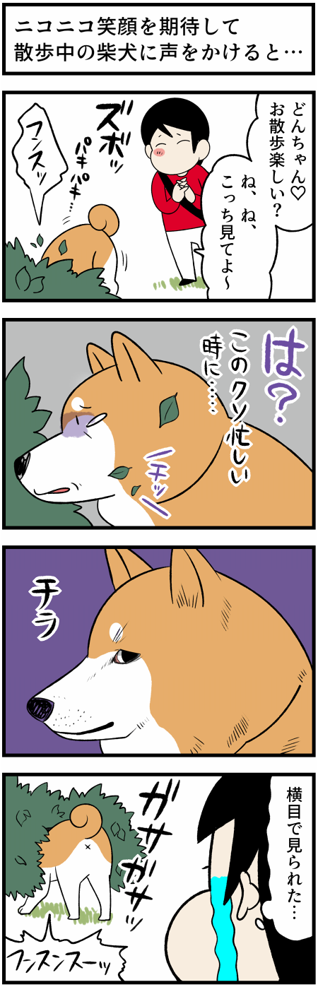 20211028犬の散歩の仕草2