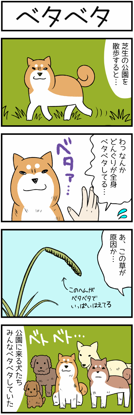 20180906ベタベタ1