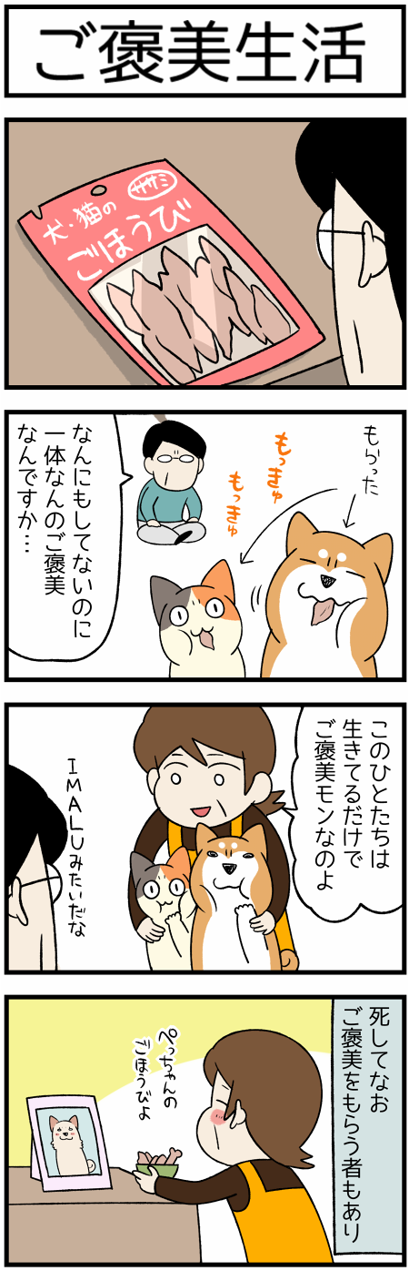 20201230生活感とご褒美2