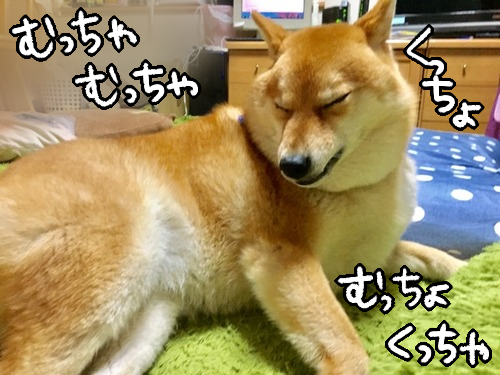 8aaxvgcp